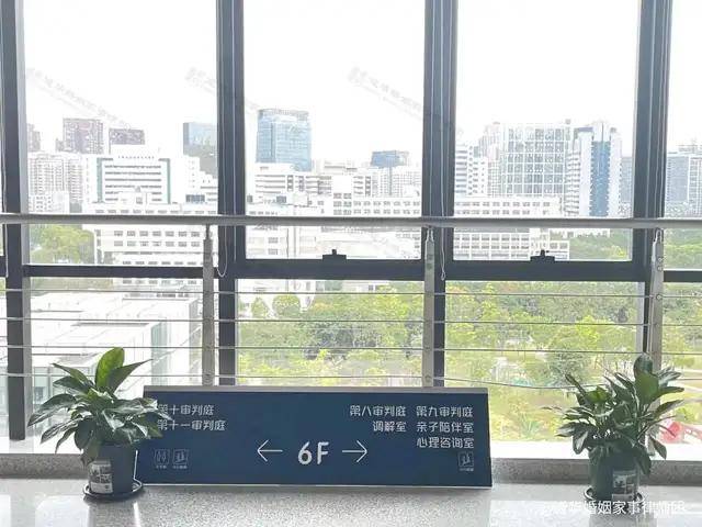 原配遇怀孕第三者索赔500万!广东道华律师事务所婚姻家事律师团唐云虹律师:三步助原配保全财产、和平维权(图3)